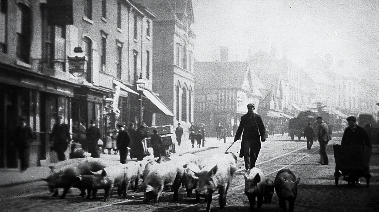 浴血黑帮剃刀党历史背景_浴血黑帮_浴血黑帮角色原型介绍